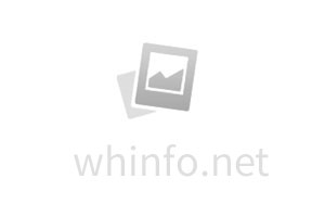 熱搜第一！一夜爆火！炒到10萬(wàn)元