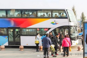 11月25日起，榮成開通“賞天鵝公交旅游專線”